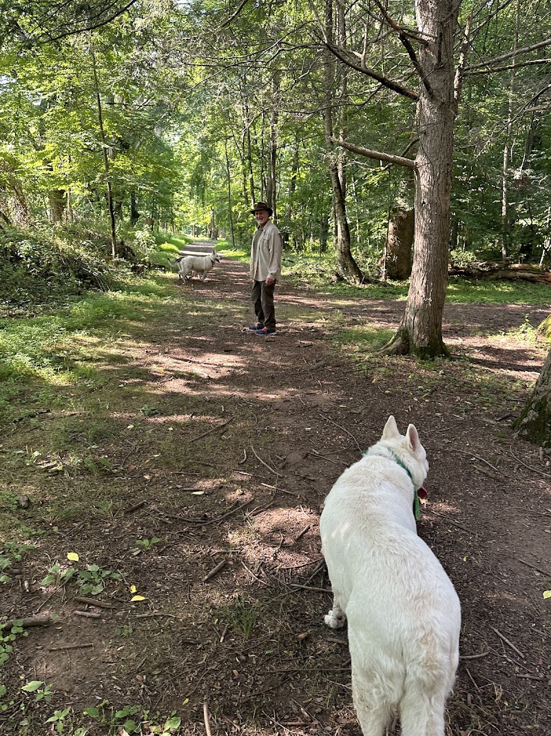 Tinicum Park Disc Golf Course photo 5