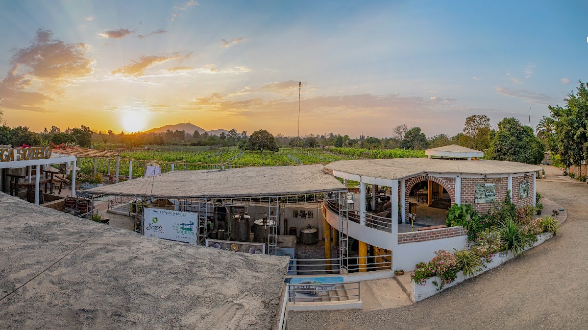 Bodega y Viñedo Sotelo
