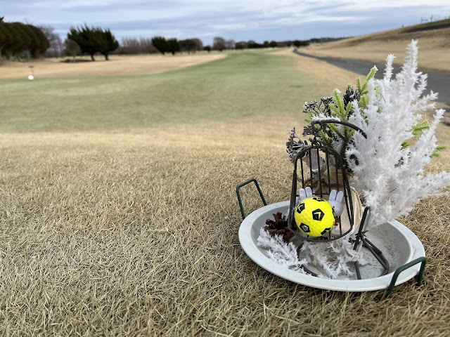 Higashi Abiko Country Club - Photo 9