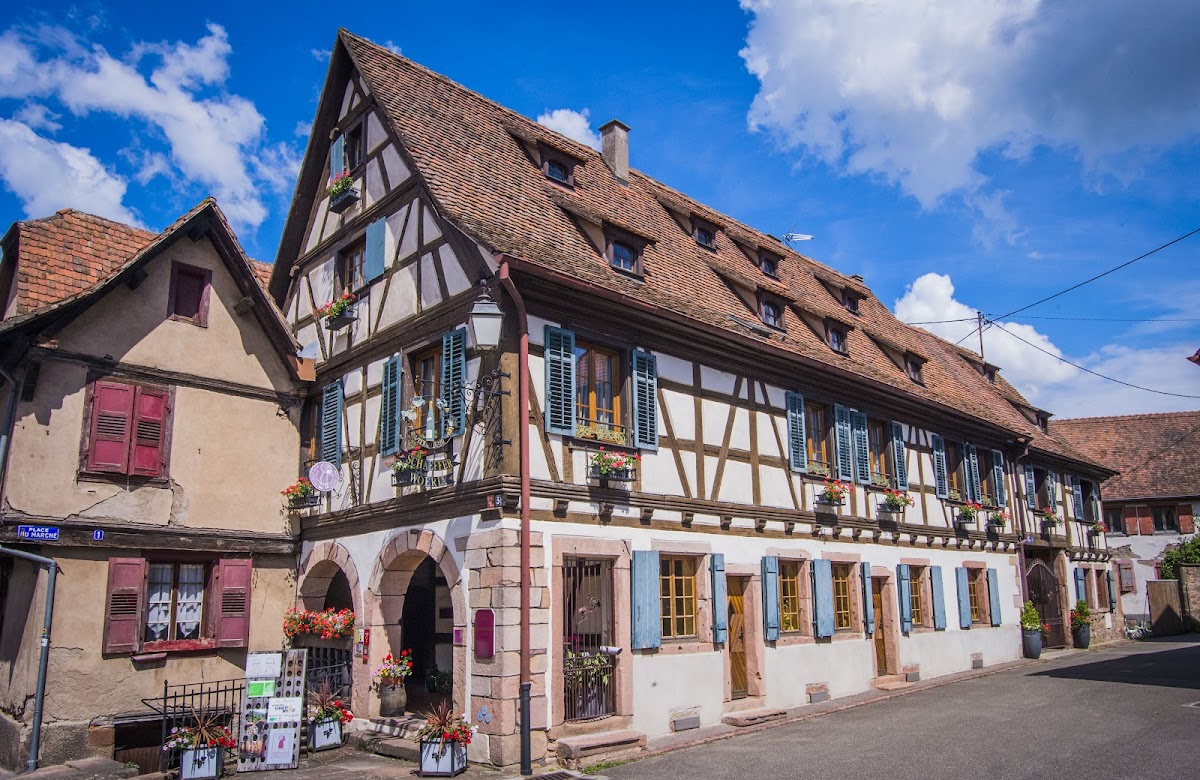 Alsace Wine Schaeffer-Woerly