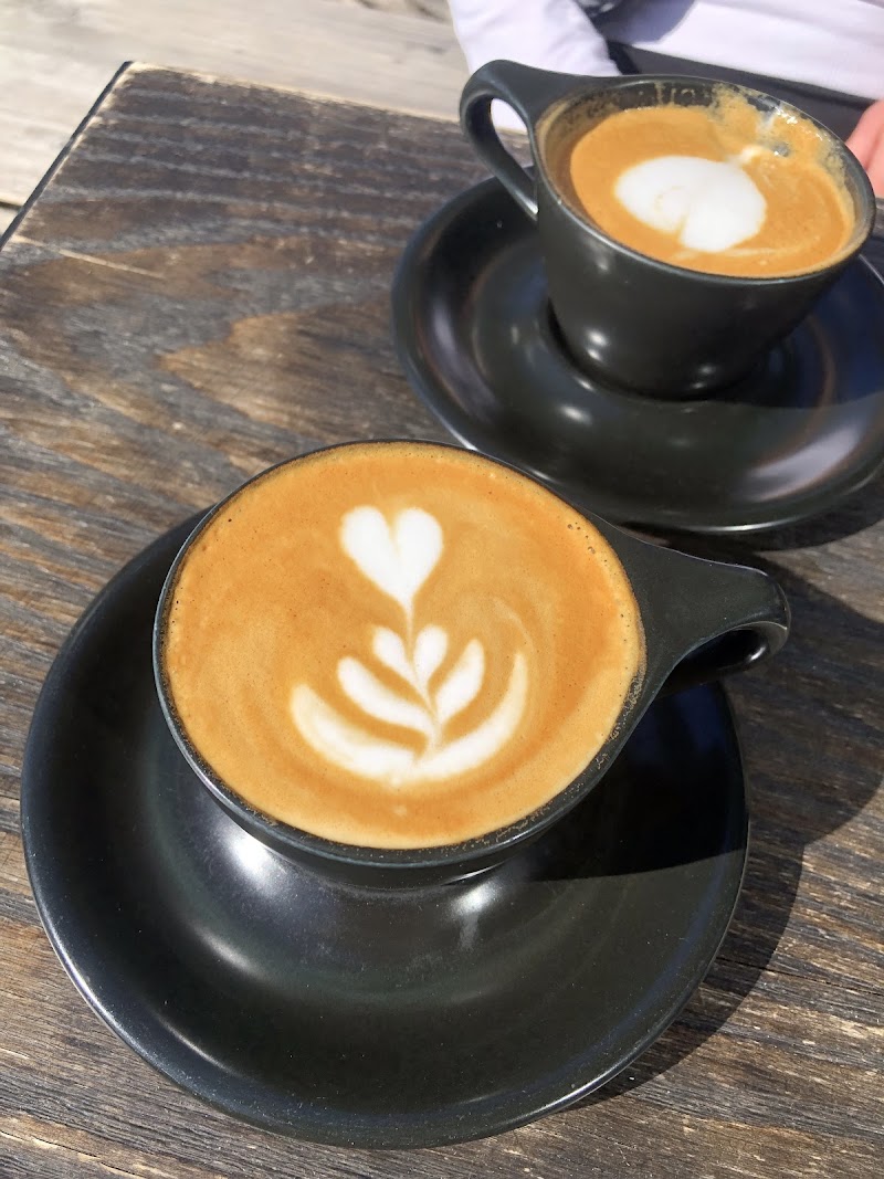 The Boy & The Bear - Coffee Roastery photo 3