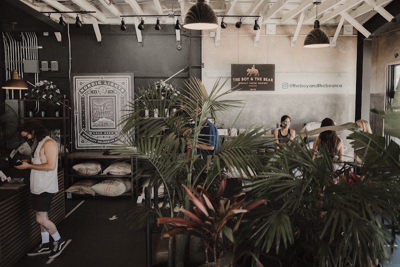 The Boy & The Bear - Coffee Roastery photo 1