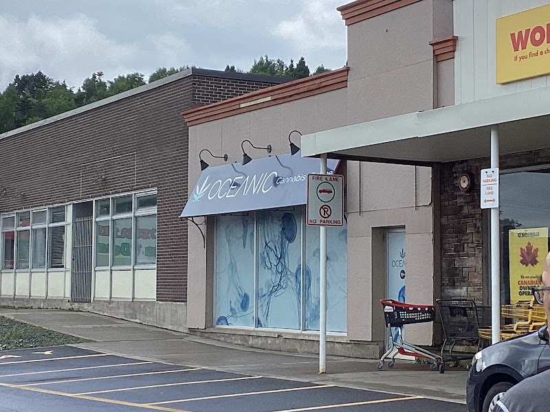 Oceanic Cannabis & Coffee photo 3