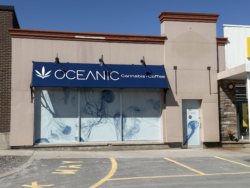 Oceanic Cannabis & Coffee photo 1