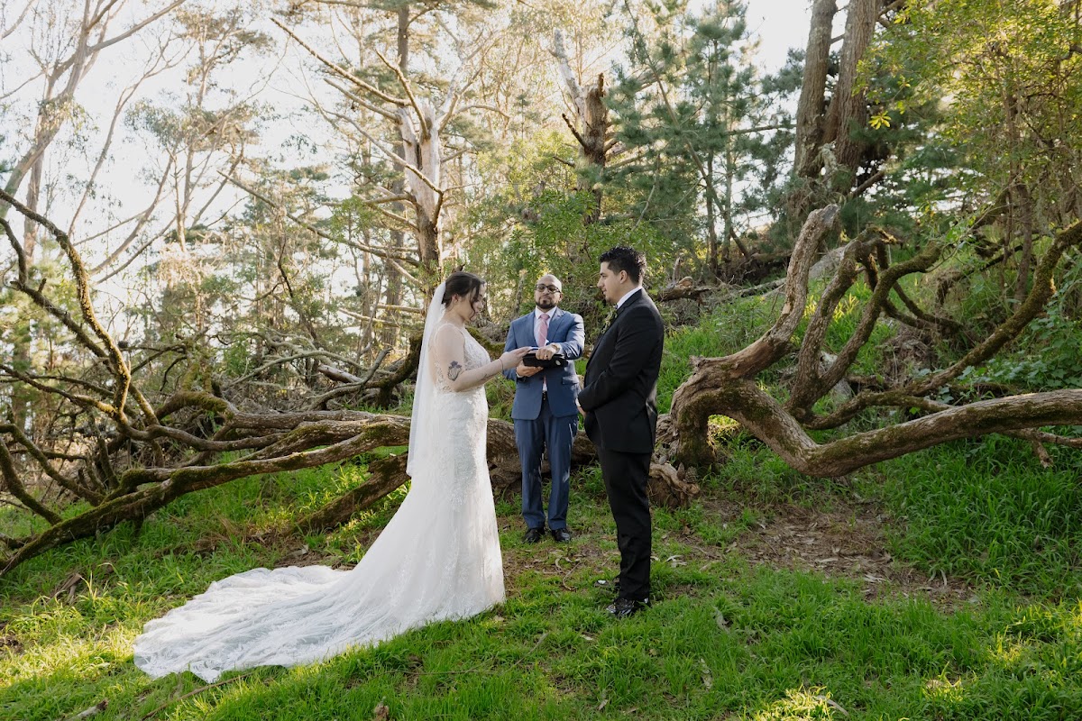 Rachel Levine Photography: Google Places image 4