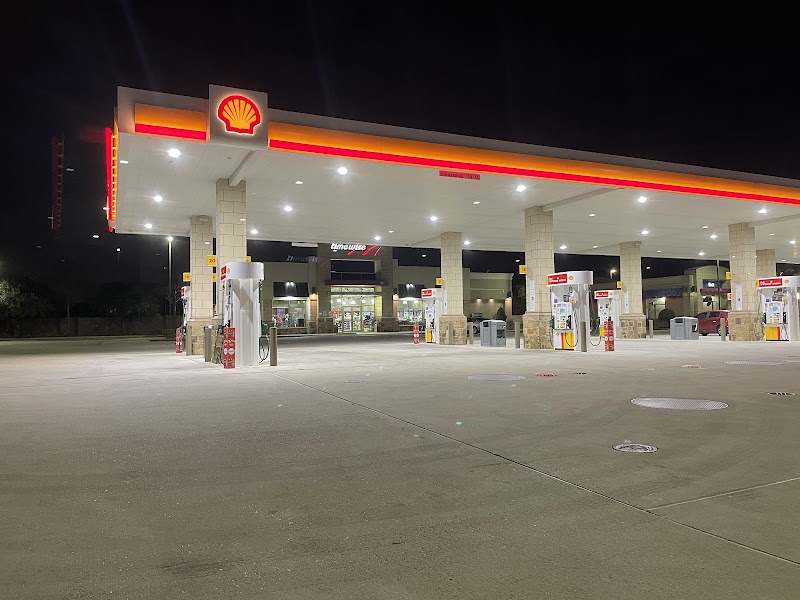 Shell photo 2