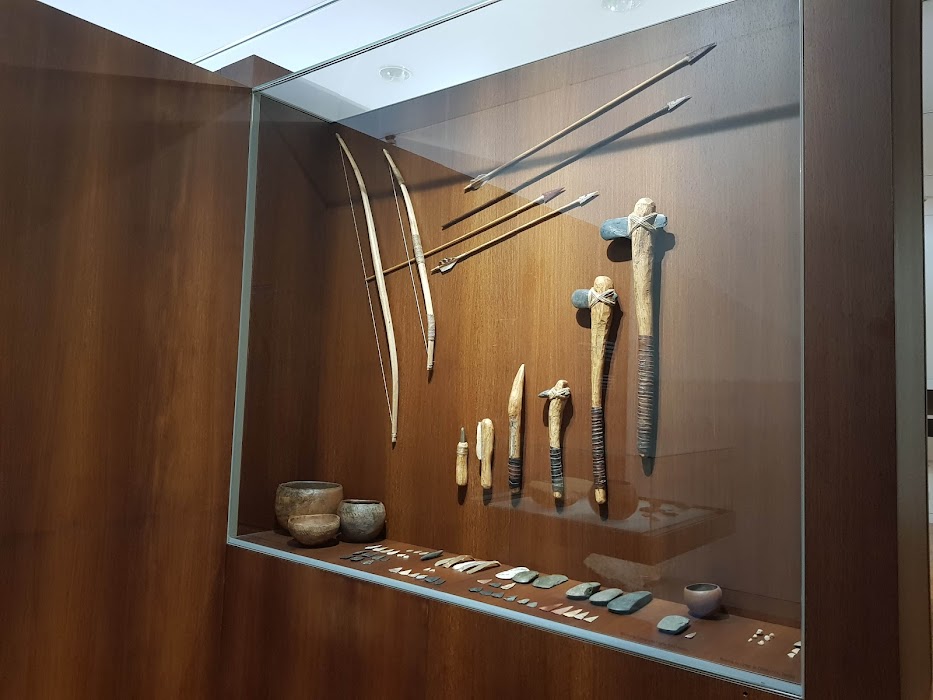 Museu de Arqueologia D. Diogo de Sousa fotoğraf 1