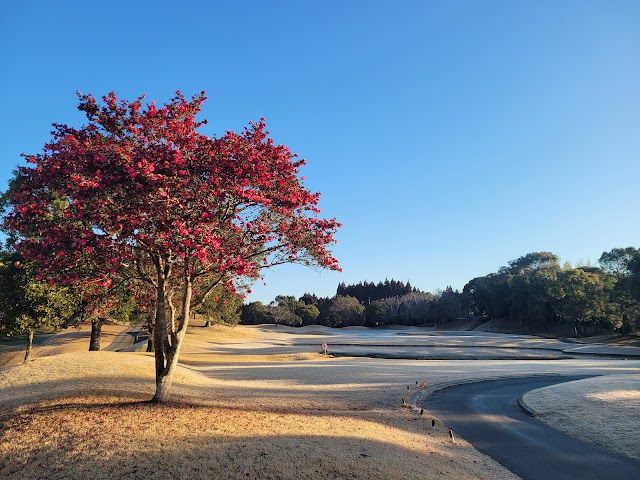 Ketoin Golf Club - Photo 9