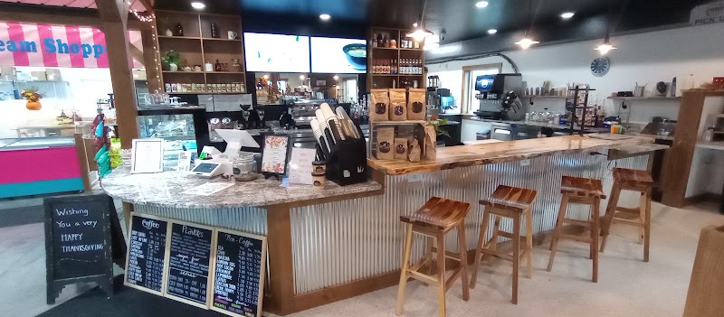 COFFEE TALK LLC photo 1