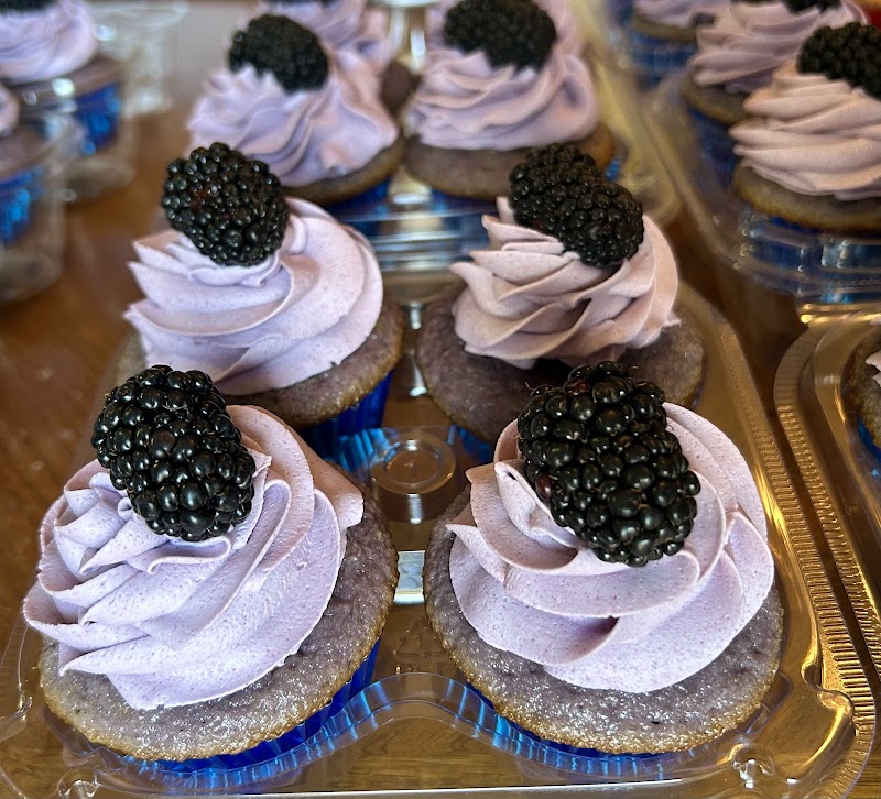 Mocha Molly's photo 3