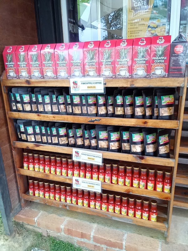 Saudagar Nanas Agrofarm - Photo 1