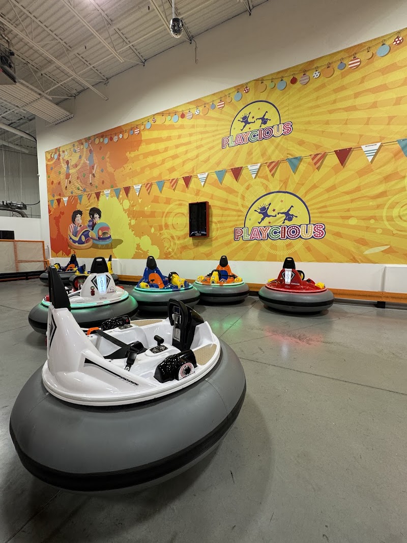 Playcious Oakville photo 4