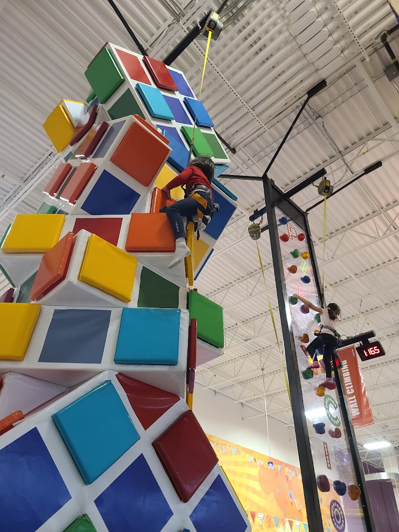 Playcious Oakville photo 3