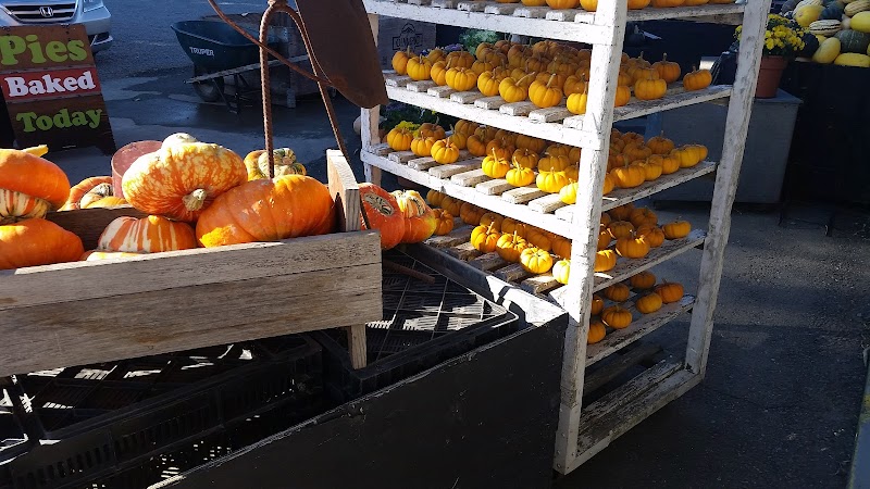 Schuh Farms photo 4