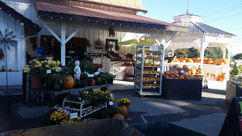 Schuh Farms photo 1