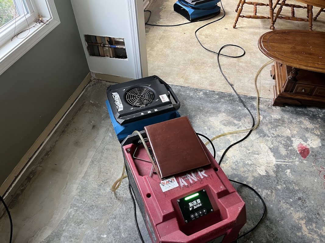 ANR Restoration — photo