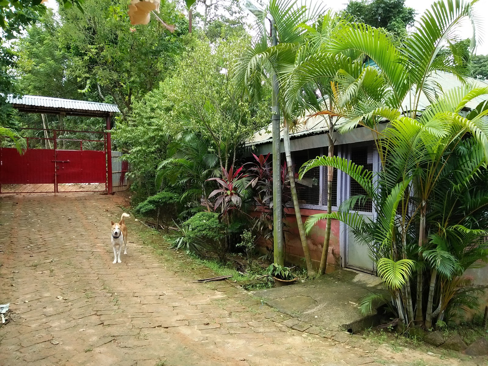 Sun Agro Resort & Villa Google photo 1