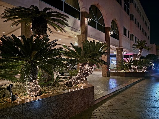Oxford Palace Hotel