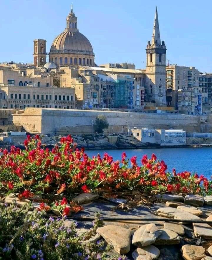 Best Dog-Friendly Hotels in Malta, Malta