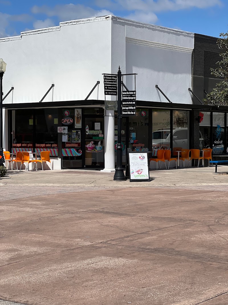 Yummis Frozen Yogurt and Cafe photo 3