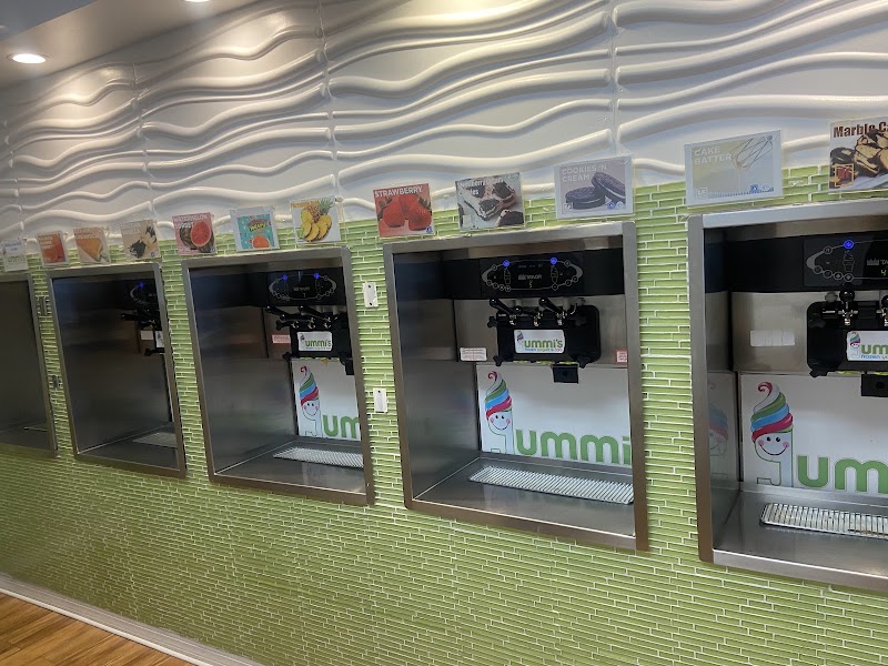 Yummis Frozen Yogurt and Cafe photo 4
