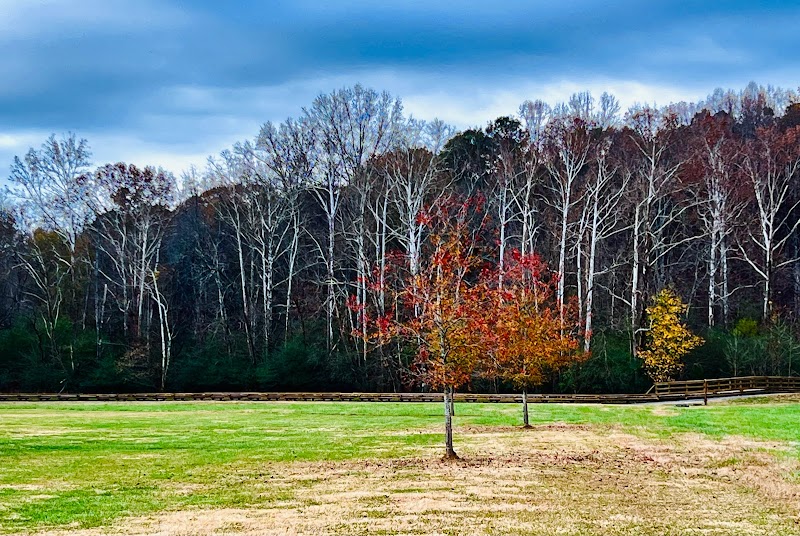 Chattahoochee Pointe Disc Golf Course photo 4