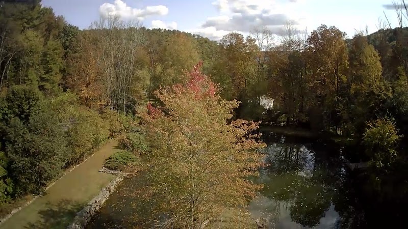 Cheeses' Grove photo 3