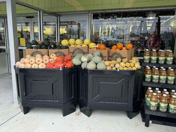 Photo by Summer Auerbach