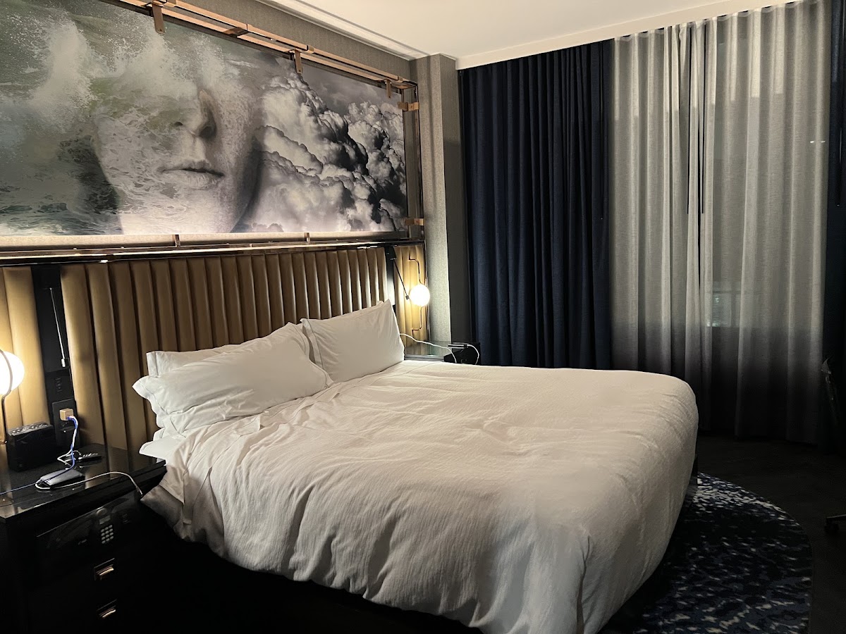 Hotel EMC2, dog-friendly hotel