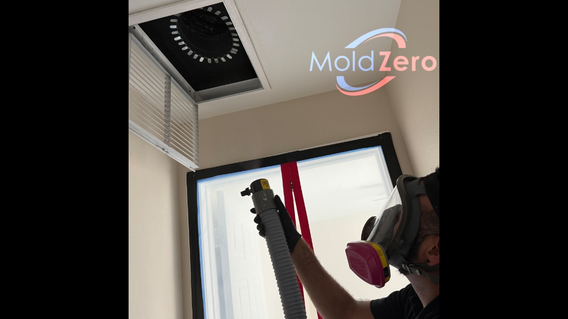 Mold Zero — photo