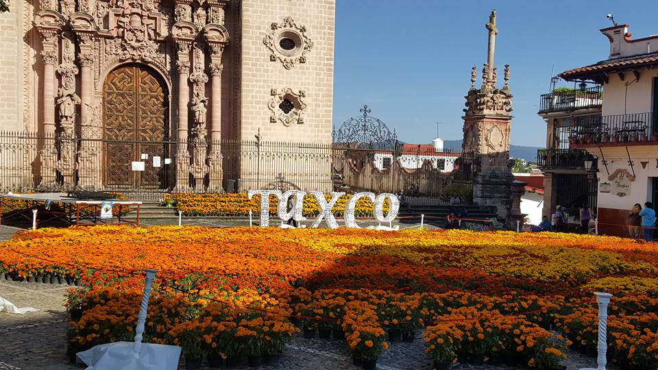 World Latin Travel WLT - Imagen 1