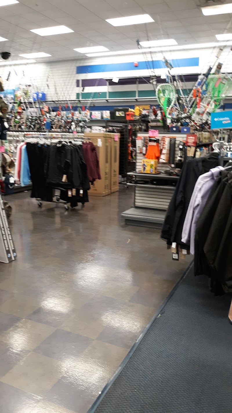 Big 5 Sporting Goods #255 photo