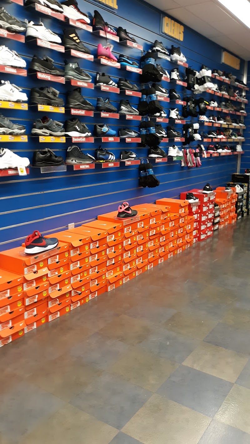 Big 5 Sporting Goods #255 photo
