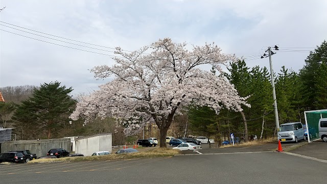 Great Sendai Country Club - Photo 9