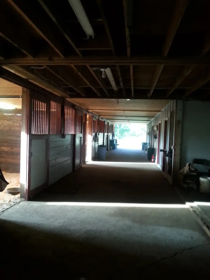 Bar UK River Ranch - Photo 5