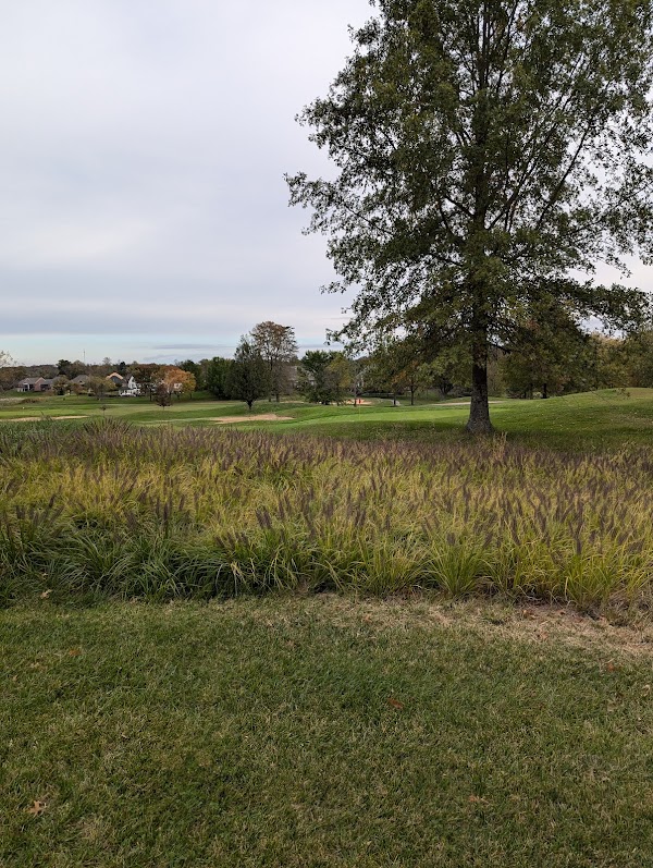 Photo by David Thomas