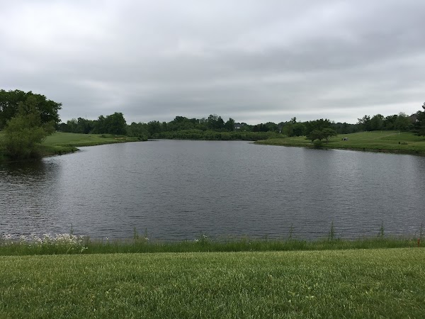 Photo by Changsun Ketterman