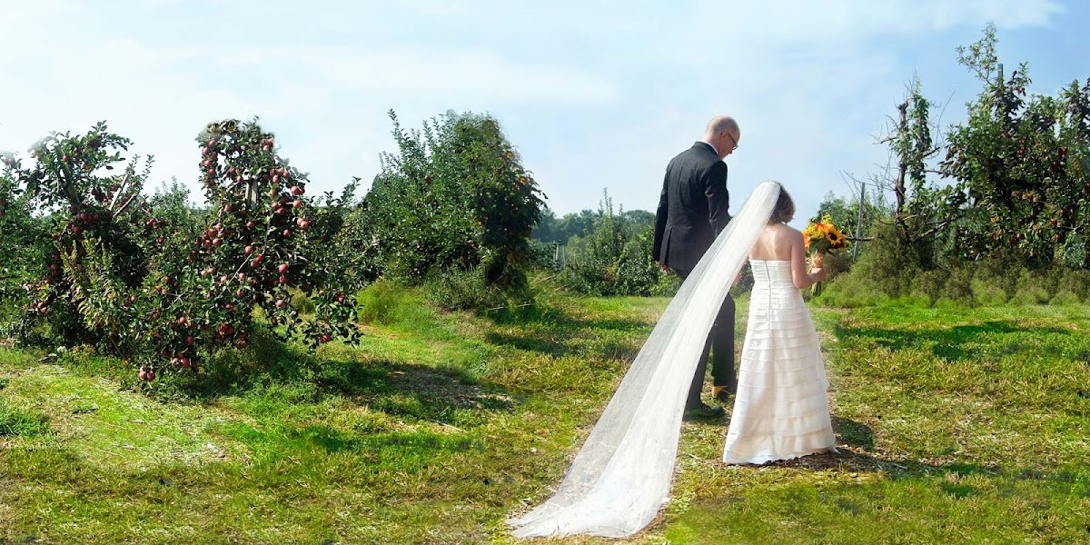 Amy Haberland Photography: Google Places image 5