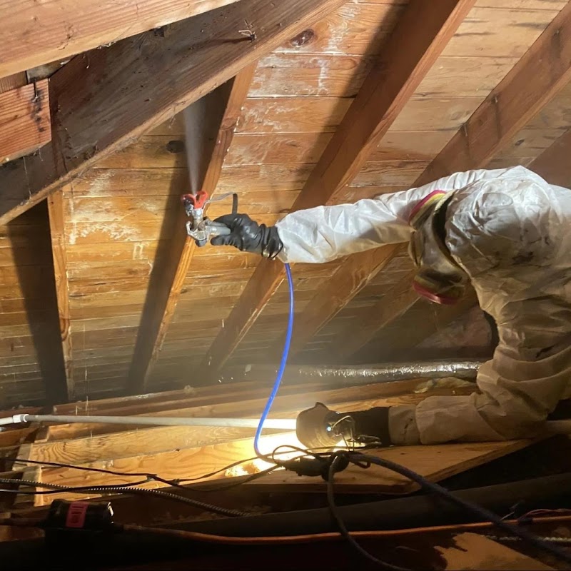 Mold Remediation Los Angeles — photo