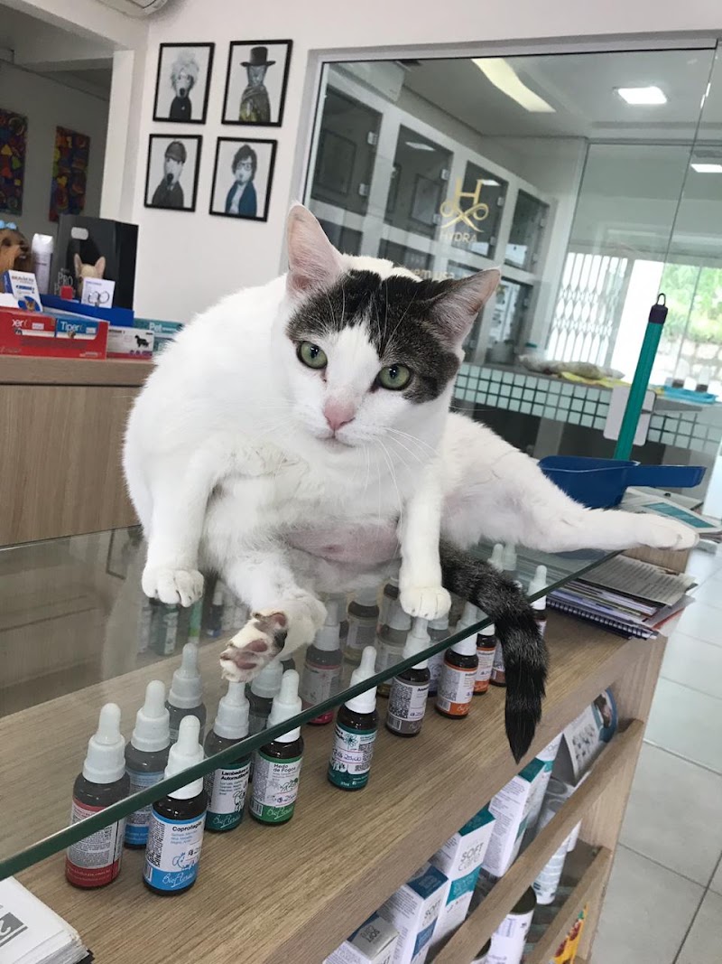 Foto de Auquimia Clínica Veterinária