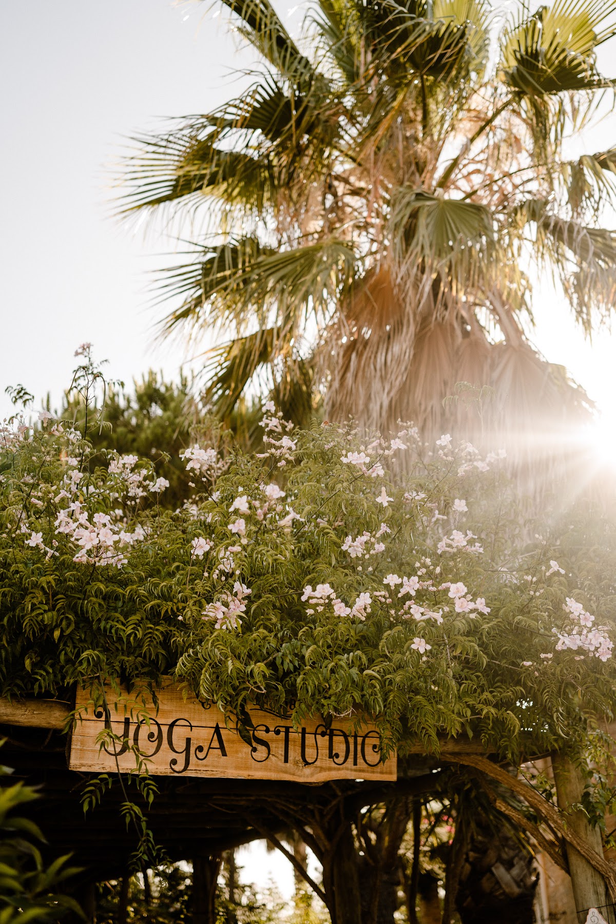 Transform to Bliss Yoga, Event & Wellness Space - Lagos, Algarve