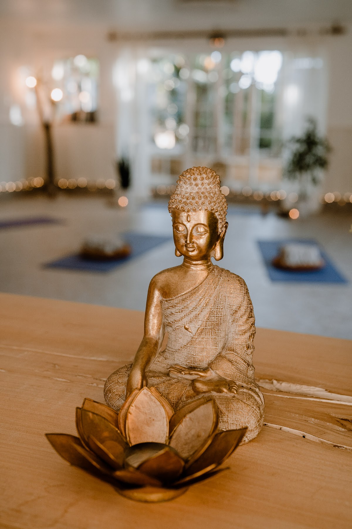 Transform to Bliss Yoga, Event & Wellness Space - Lagos, Algarve — 3