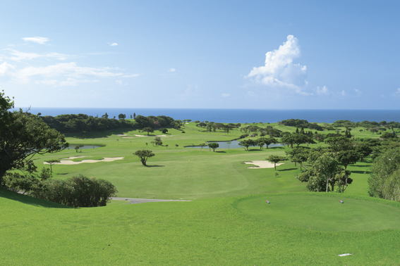 The Southern Links Golf Club - Photo 1