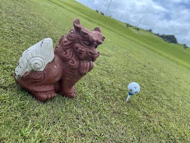 The Southern Links Golf Club - Photo 7
