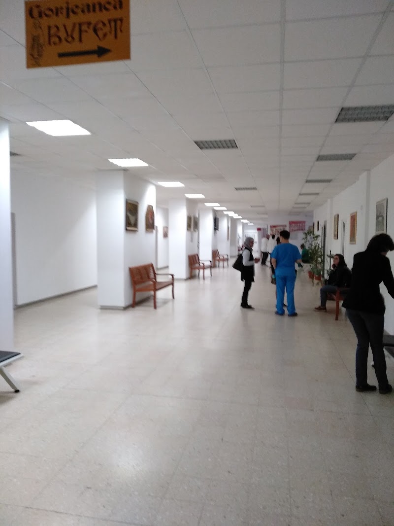 Gallery 4