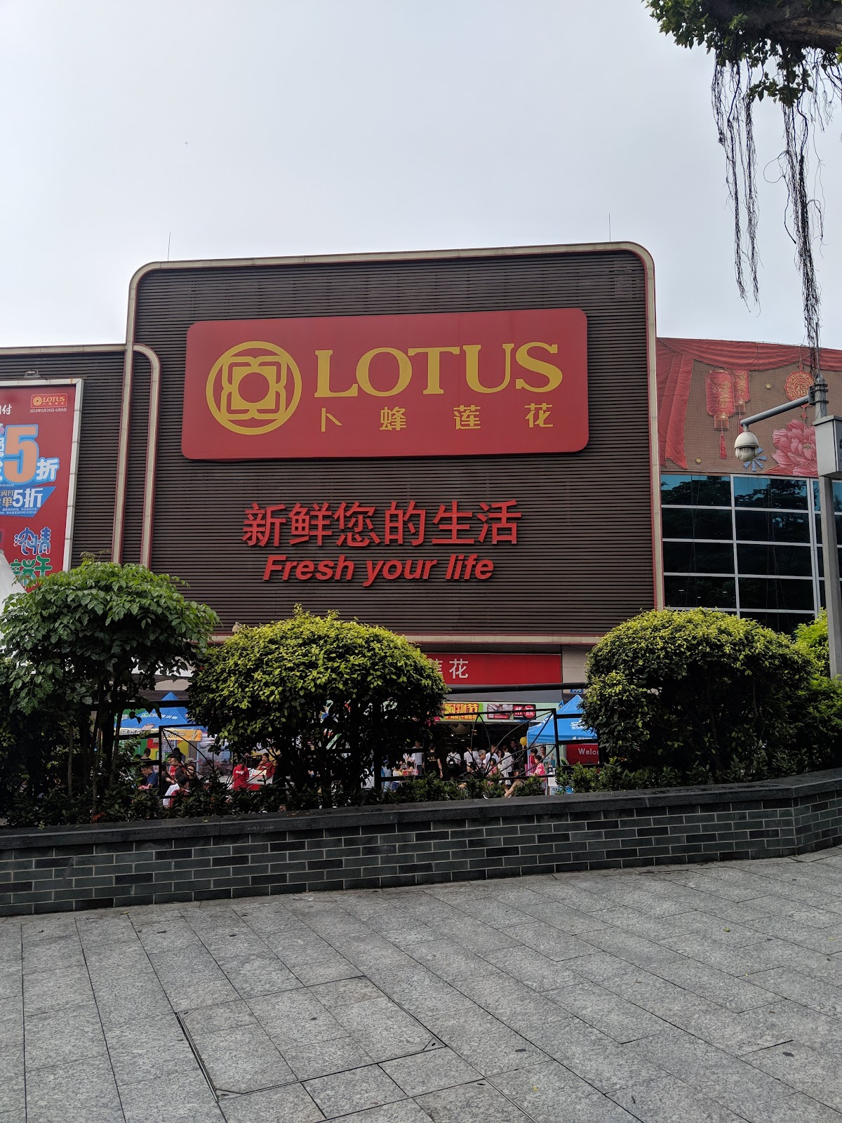 Lotus