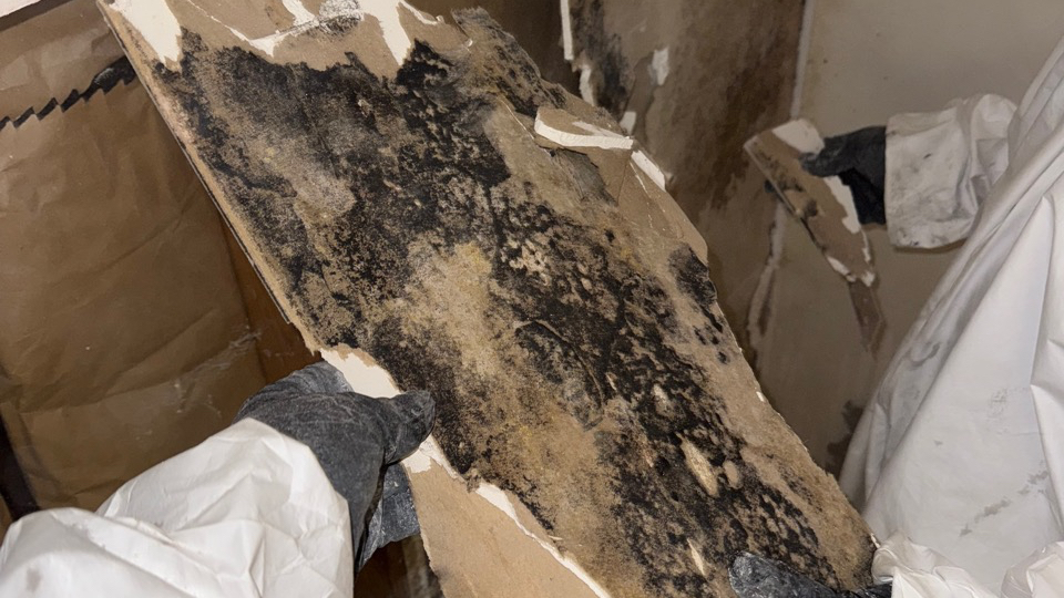 Daytona Restoration | Fire, Meth, Mold, Asbestos, Biohazard Cleanup — photo