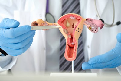 Dr Namratha | Dr Jhansi | Obstetrician & Best Gynecologist in Kolkata - Image 3