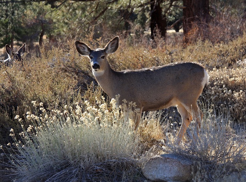 Wyoming's Finest Outfitters LLC - Photo 4