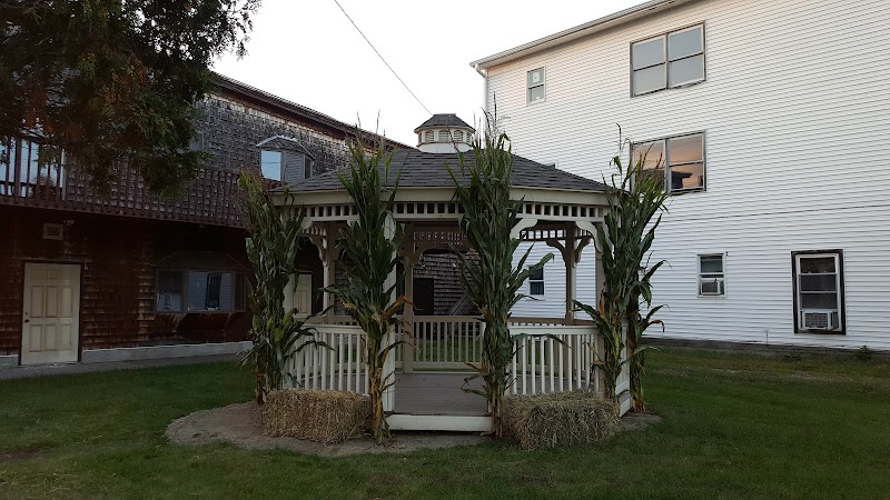 Photo 5